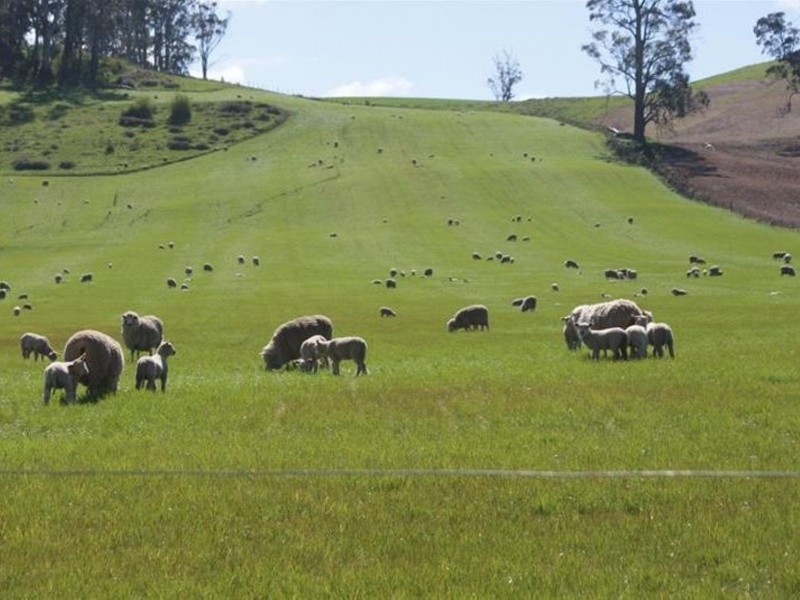 576 Bengeo Road, Deloraine TAS 7304