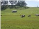 576 Bengeo Road, Deloraine TAS 7304