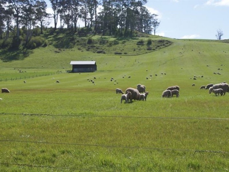 576 Bengeo Road, Deloraine TAS 7304