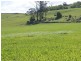 576 Bengeo Road, Deloraine TAS 7304