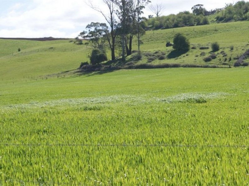 576 Bengeo Road, Deloraine TAS 7304