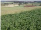 576 Bengeo Road, Deloraine TAS 7304