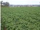 576 Bengeo Road, Deloraine TAS 7304