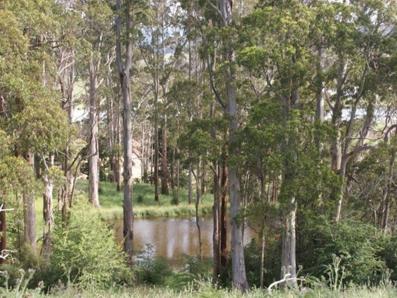 576 Bengeo Road, Deloraine TAS 7304