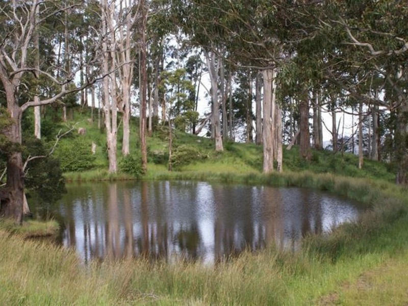 576 Bengeo Road, Deloraine TAS 7304