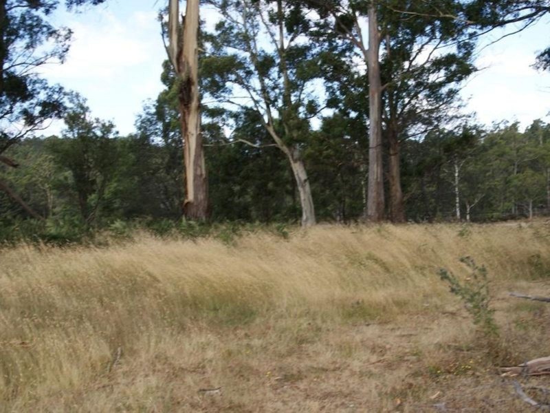 Lot 3, 374 Quamby Brook Road, Quamby Brook TAS 7304
