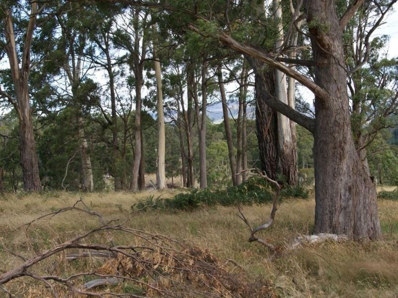 Lot 3, 374 Quamby Brook Road, Quamby Brook TAS 7304