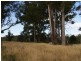 Lot 3, 374 Quamby Brook Road, Quamby Brook TAS 7304