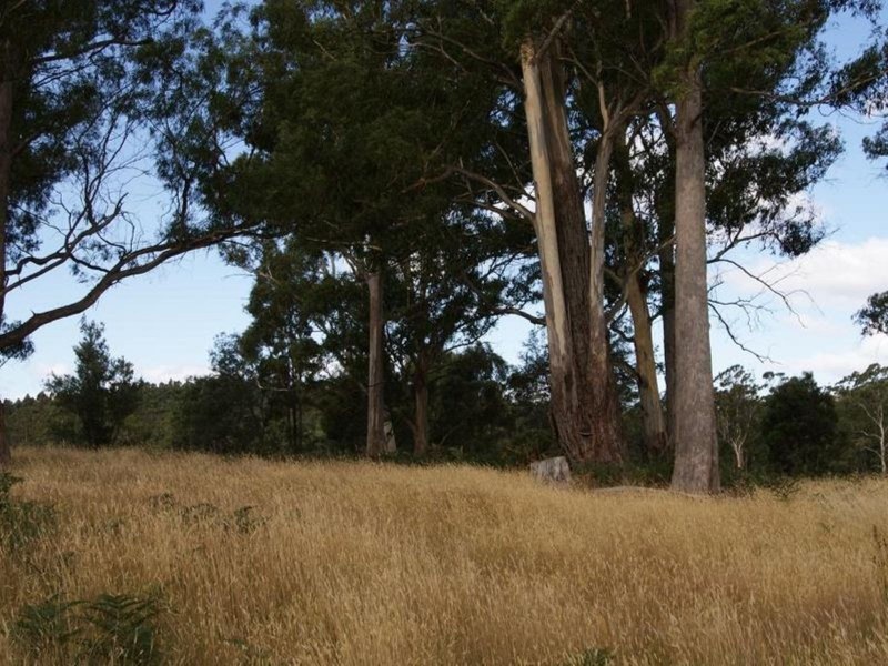 Lot 3, 374 Quamby Brook Road, Quamby Brook TAS 7304