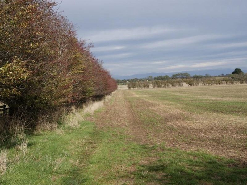 Trafalgar Lane, Evandale TAS 7212