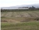 Trafalgar Lane, Evandale TAS 7212
