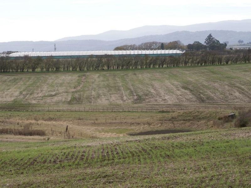 Trafalgar Lane, Evandale TAS 7212