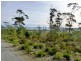342 Heathy Hill Drive, Saltwater River TAS 7186
