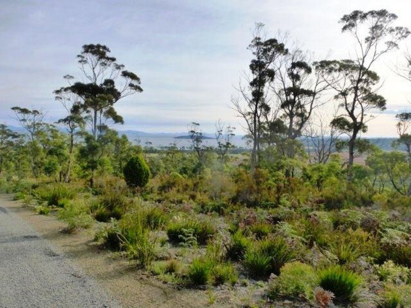 342 Heathy Hill Drive, Saltwater River TAS 7186