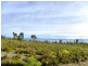312 Heathy Hill Drive, Saltwater River TAS 7186