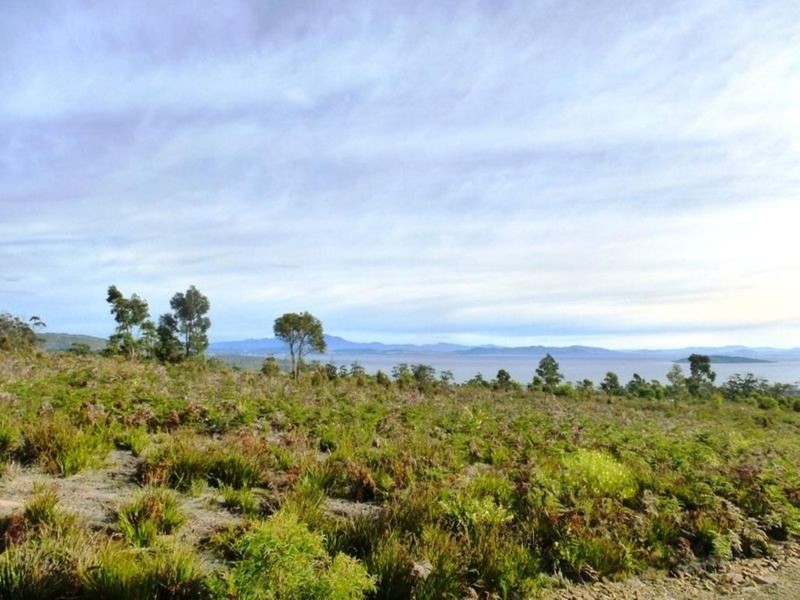 312 Heathy Hill Drive, Saltwater River TAS 7186