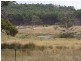 Lot 2, 374 Quamby Brook Road, Quamby Brook TAS 7304