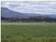 14439 Highland Lakes Road, Deloraine TAS 7304