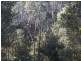 250 Lonely Hollow Road, Lower Beulah TAS 7306