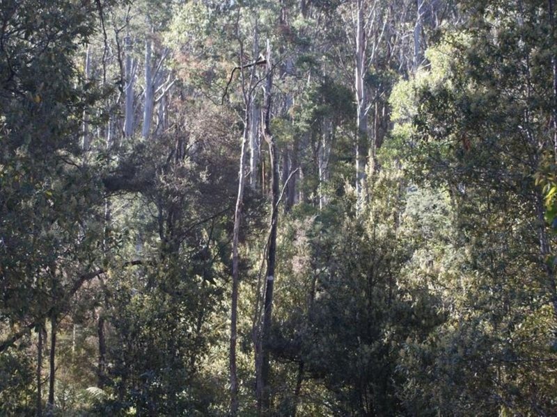 250 Lonely Hollow Road, Lower Beulah TAS 7306