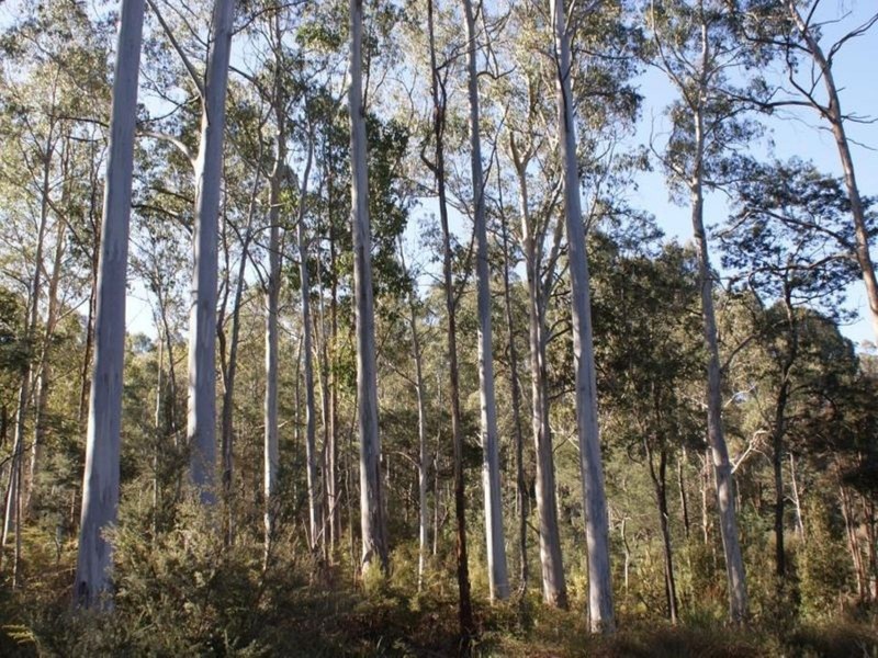 250 Lonely Hollow Road, Lower Beulah TAS 7306