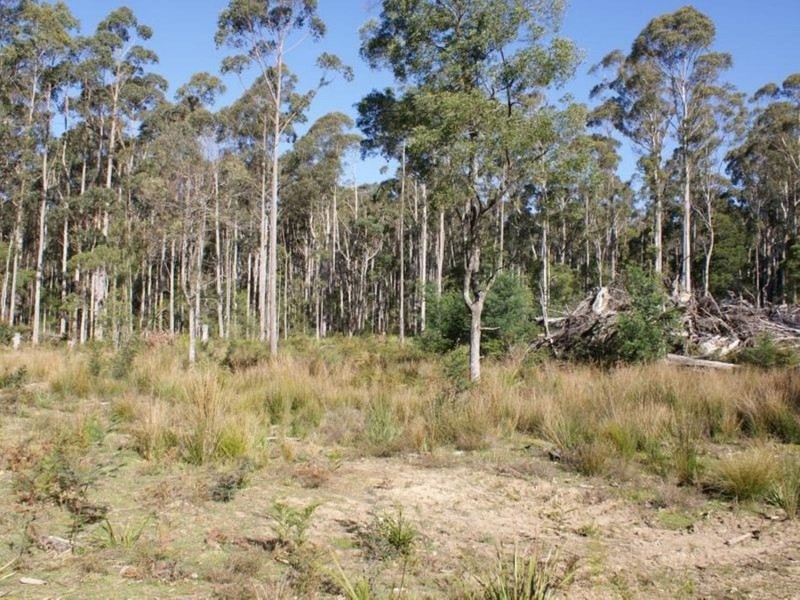 250 Lonely Hollow Road, Lower Beulah TAS 7306