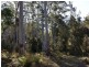 250 Lonely Hollow Road, Lower Beulah TAS 7306
