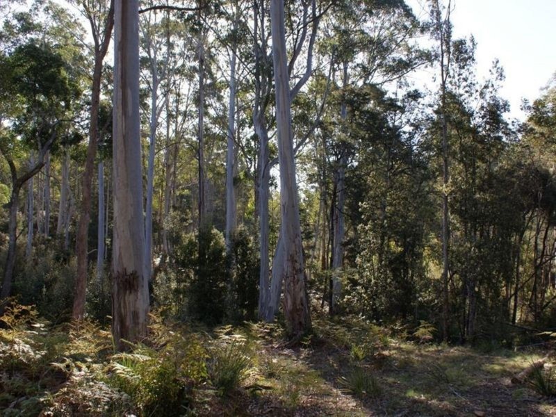 250 Lonely Hollow Road, Lower Beulah TAS 7306