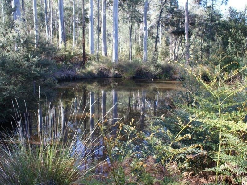 250 Lonely Hollow Road, Lower Beulah TAS 7306
