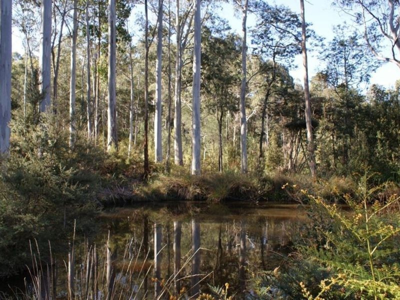 250 Lonely Hollow Road, Lower Beulah TAS 7306