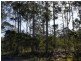 250 Lonely Hollow Road, Lower Beulah TAS 7306