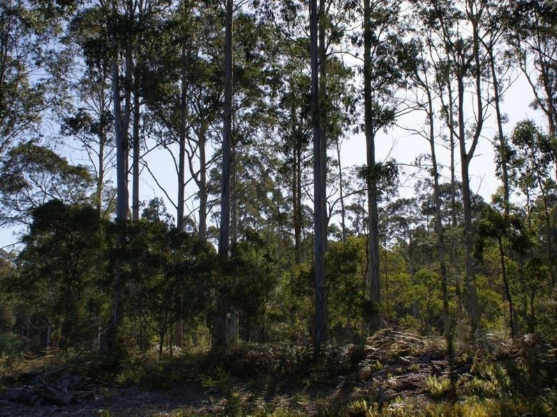 250 Lonely Hollow Road, Lower Beulah TAS 7306