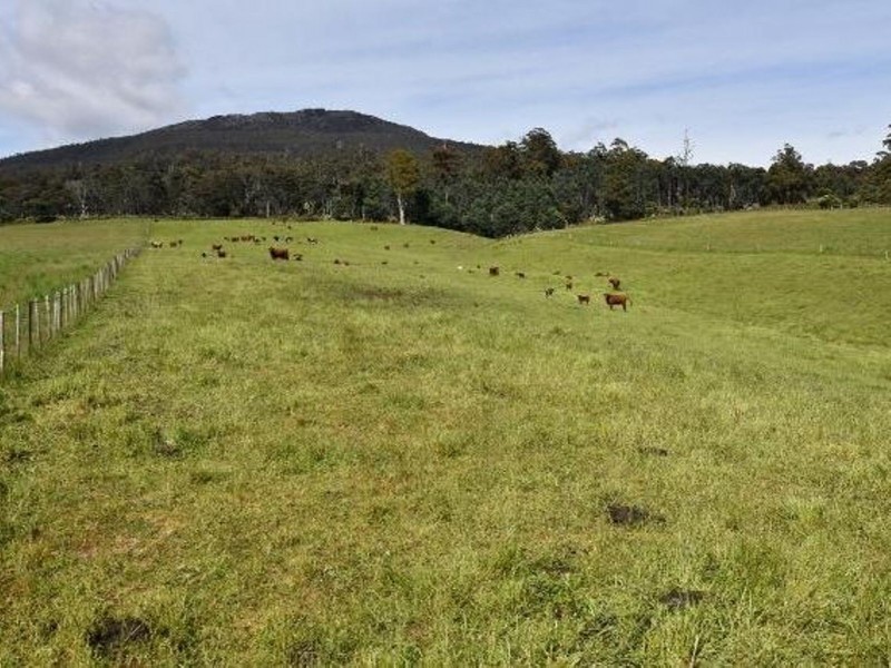 68 Mt Beulah Road, Western Creek TAS 7304