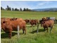 68 Mt Beulah Road, Western Creek TAS 7304