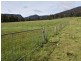 68 Mt Beulah Road, Western Creek TAS 7304