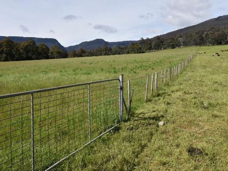 68 Mt Beulah Road, Western Creek TAS 7304