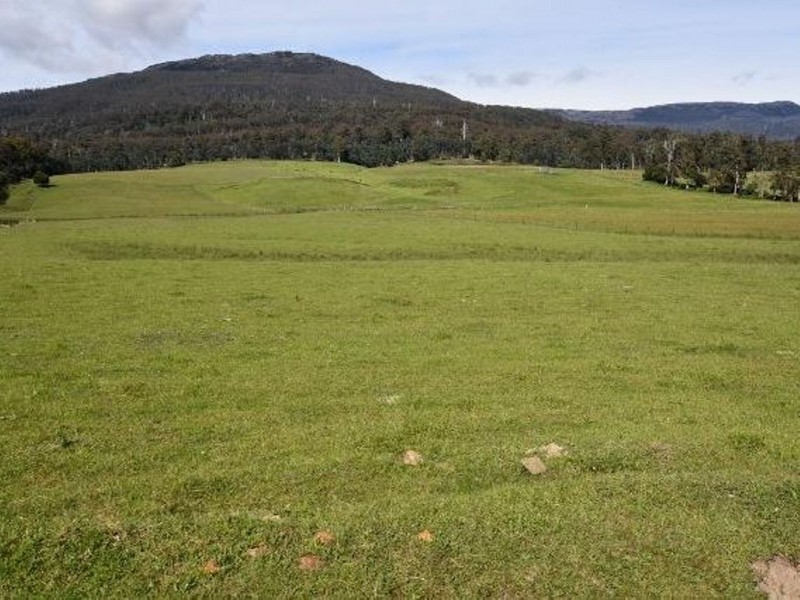 68 Mt Beulah Road, Western Creek TAS 7304