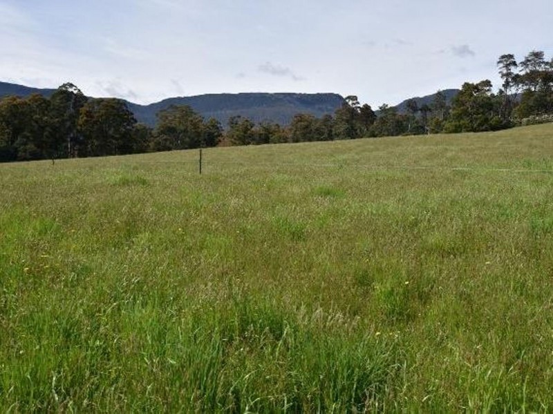 68 Mt Beulah Road, Western Creek TAS 7304