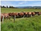 68 Mt Beulah Road, Western Creek TAS 7304