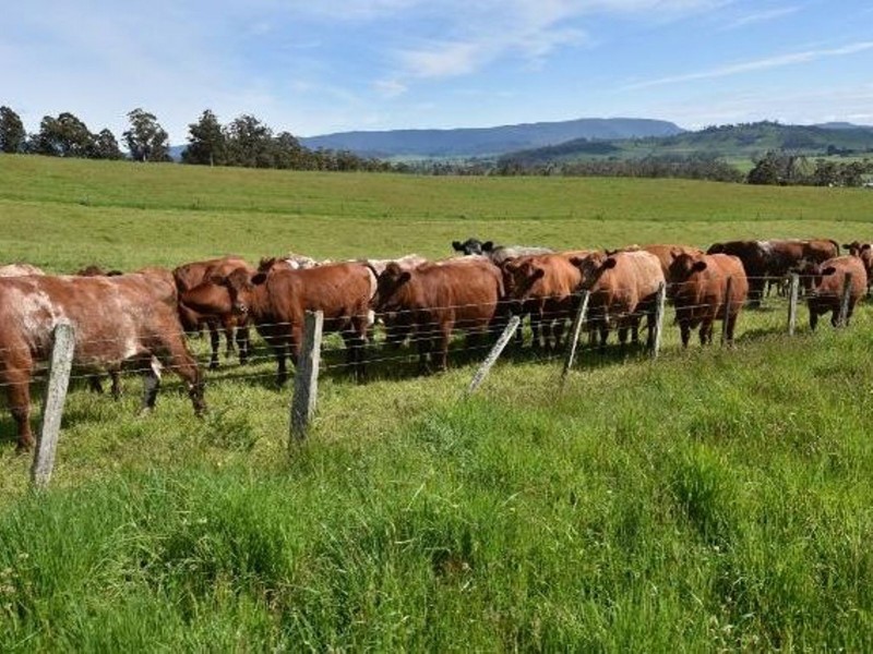 68 Mt Beulah Road, Western Creek TAS 7304