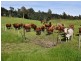 68 Mt Beulah Road, Western Creek TAS 7304