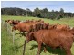 68 Mt Beulah Road, Western Creek TAS 7304
