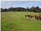 68 Mt Beulah Road, Western Creek TAS 7304