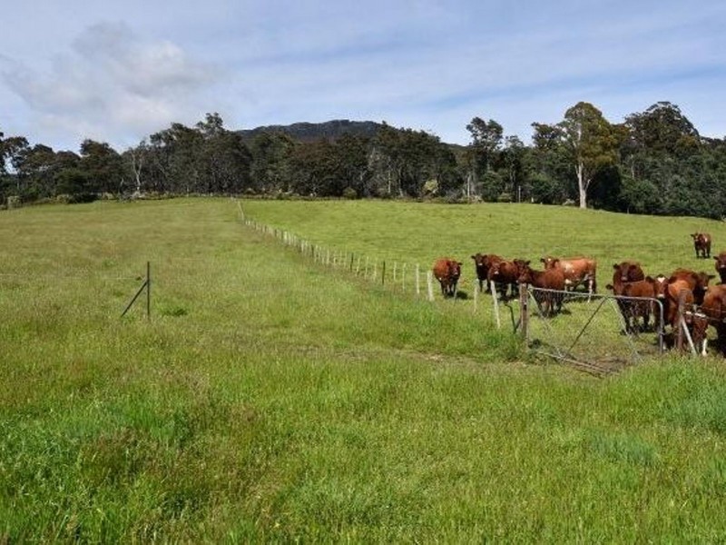 68 Mt Beulah Road, Western Creek TAS 7304