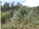 90 Geiss Road, Tunnel TAS 7254