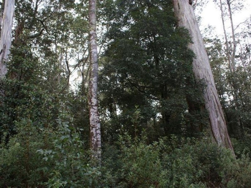 Highland Lakes Road, Golden Valley TAS 7304