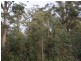 Highland Lakes Road, Golden Valley TAS 7304