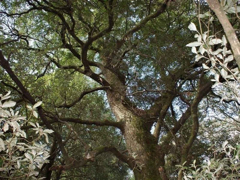 Highland Lakes Road, Golden Valley TAS 7304