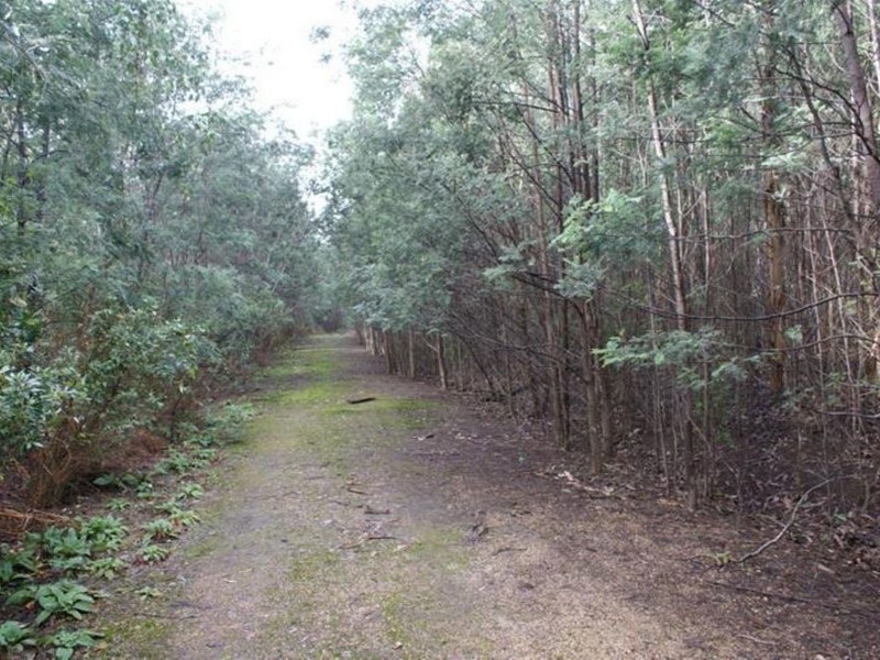 Highland Lakes Road, Golden Valley TAS 7304