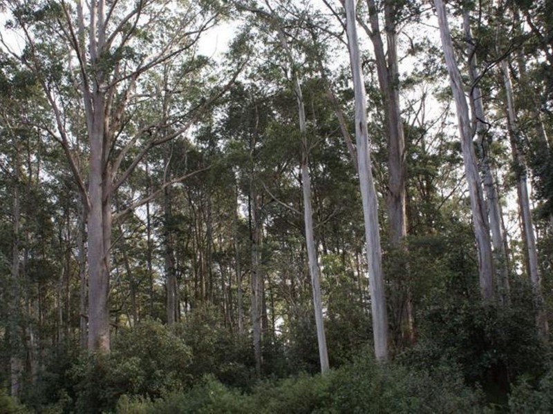 Highland Lakes Road, Golden Valley TAS 7304